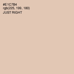 #E1C7B4 - Just Right Color Image